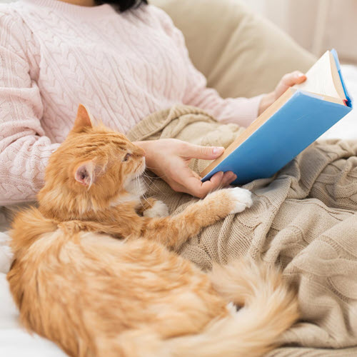 cat and book