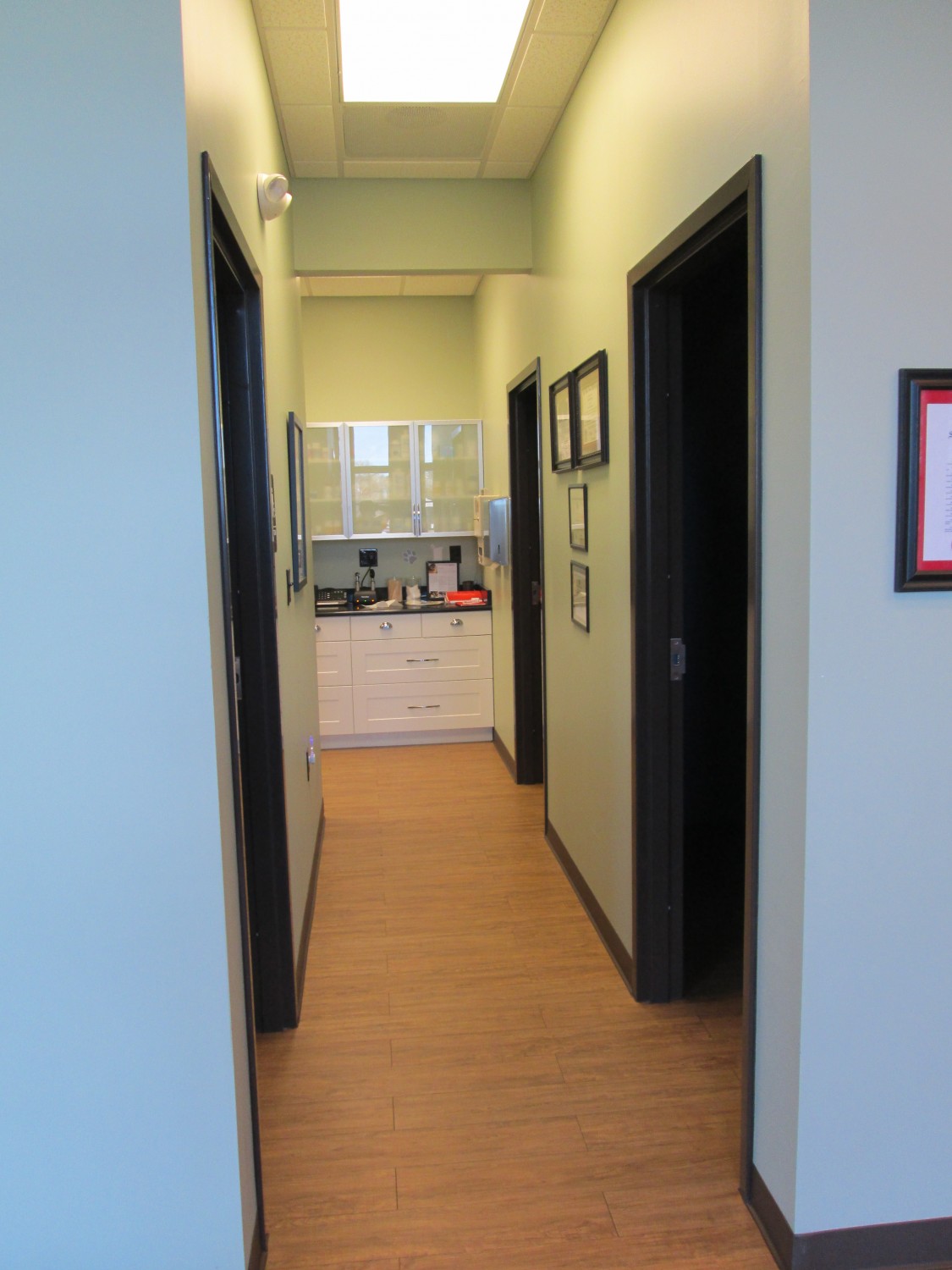 To the cat rooms