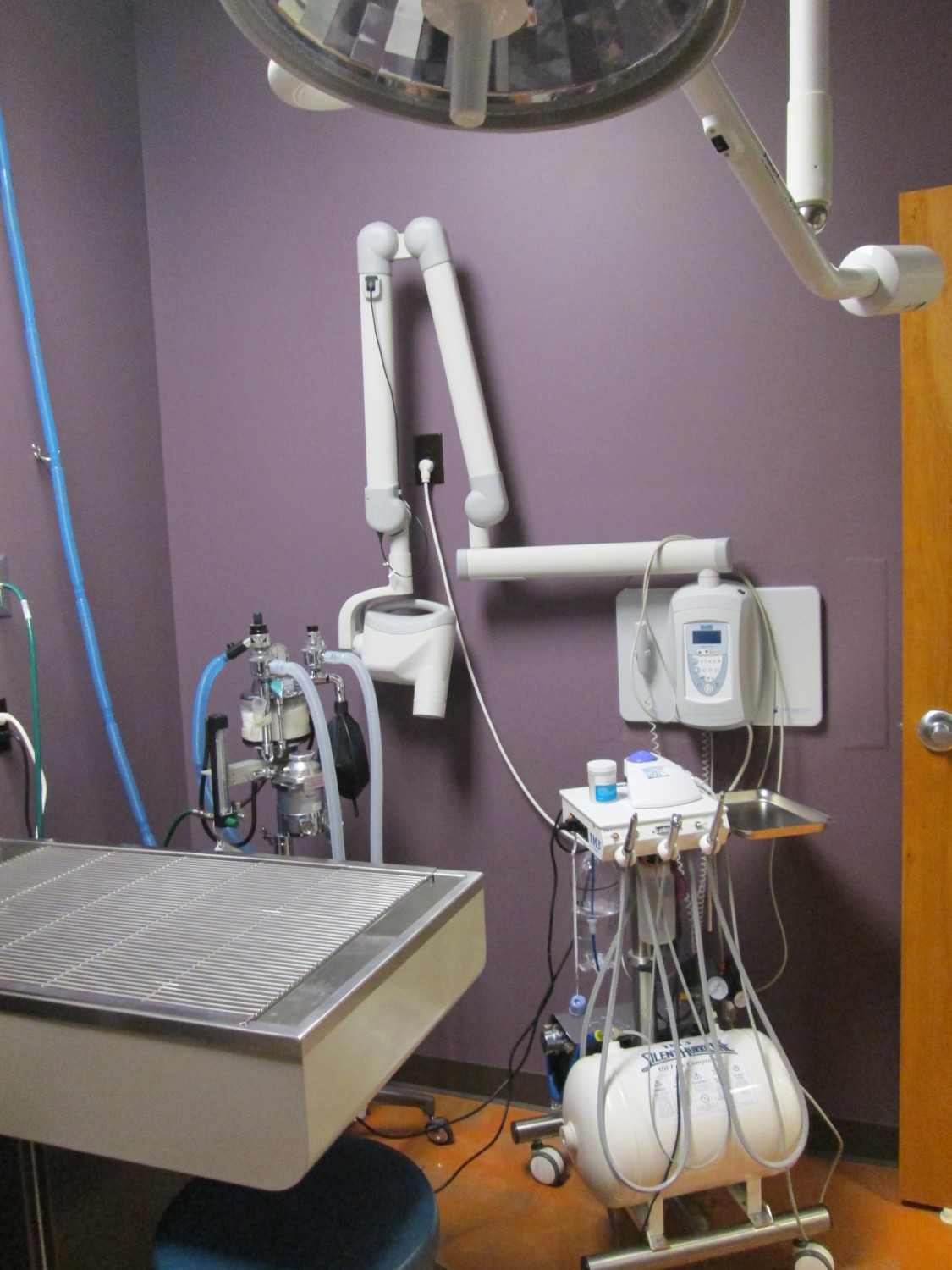 Dental X-ray