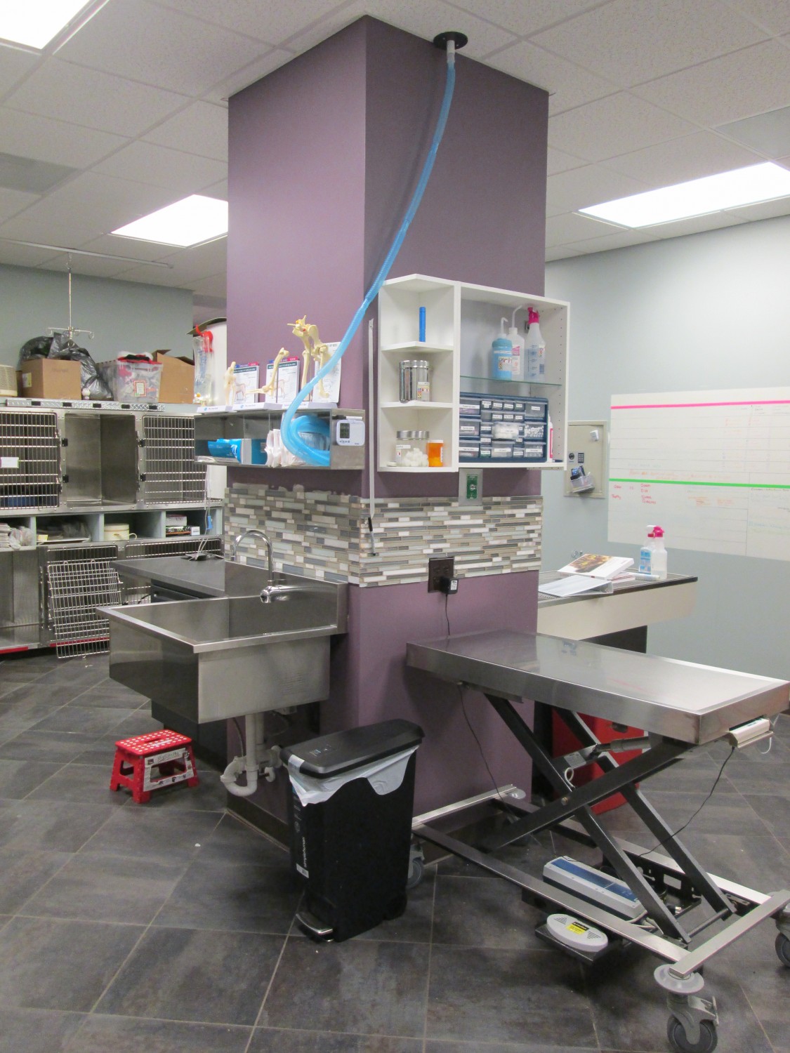 Treatment Area 3