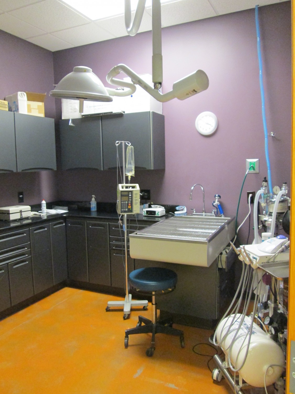 Dental Suite