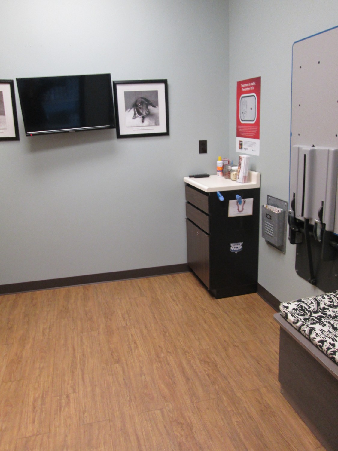 Dog Room 1